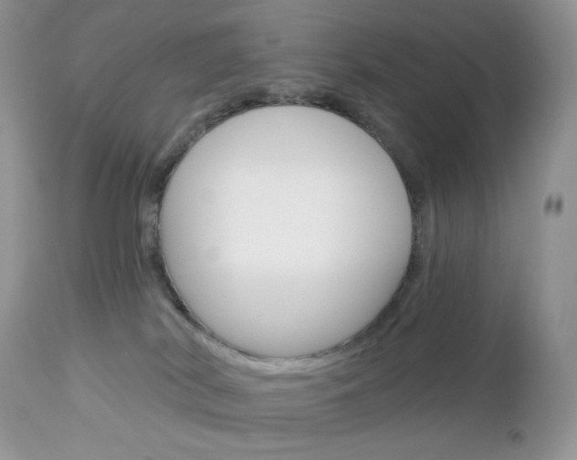 X0000113100038200908281003