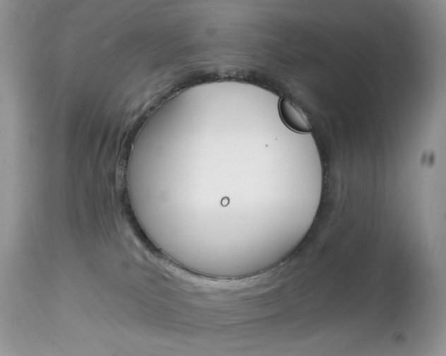 X0000113100039200908281003