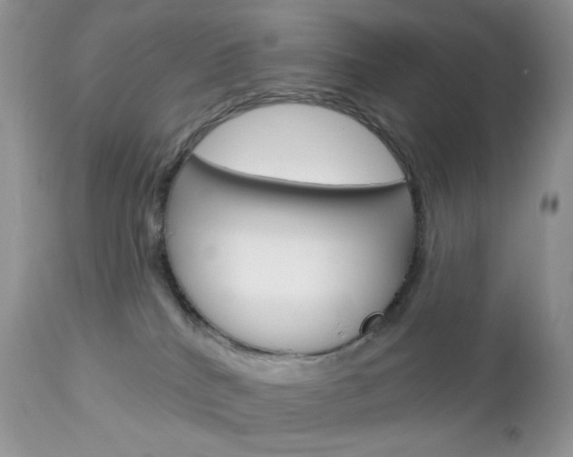 X0000113100040200908281003