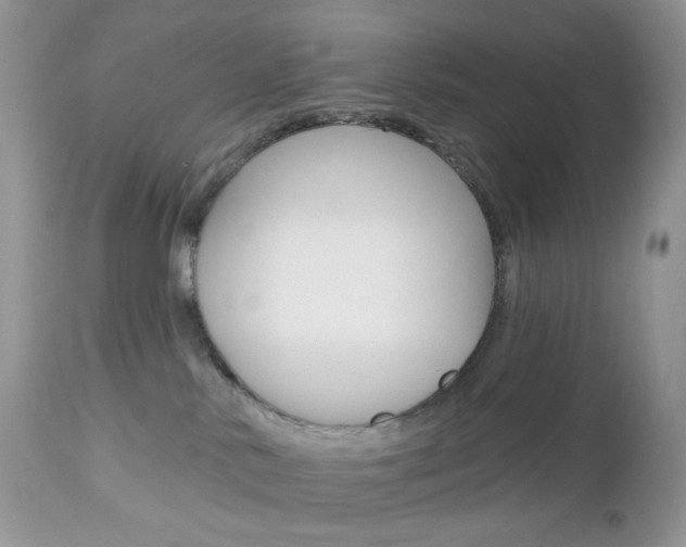 X0000113100042200908281003