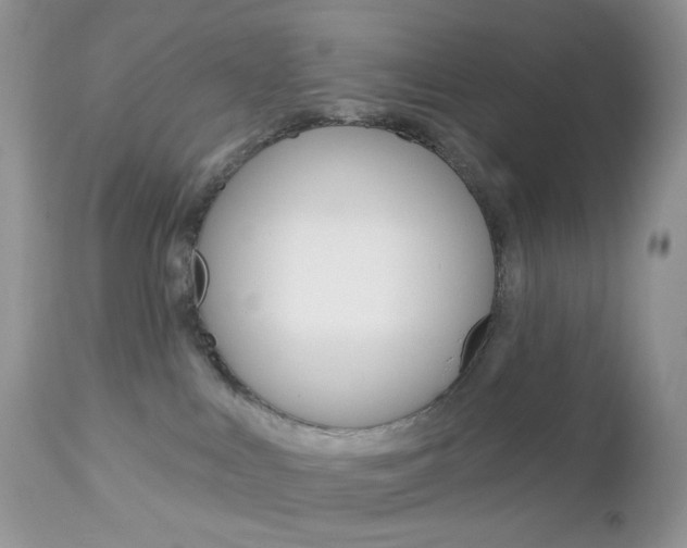 X0000113100043200908281003