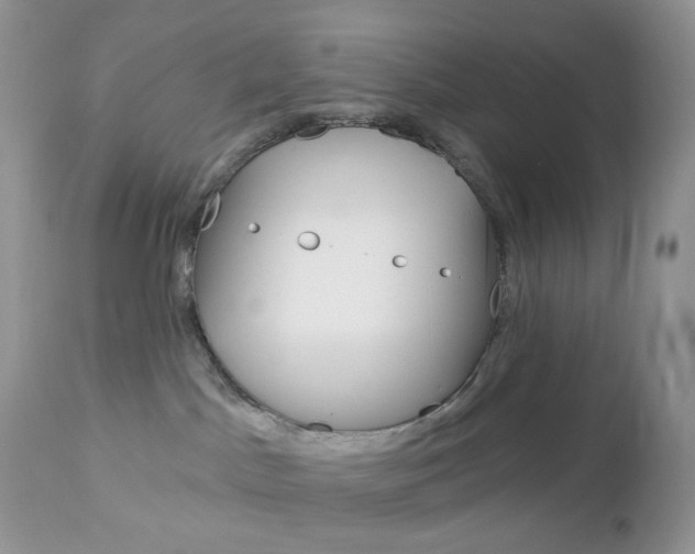 X0000113100045200908281003