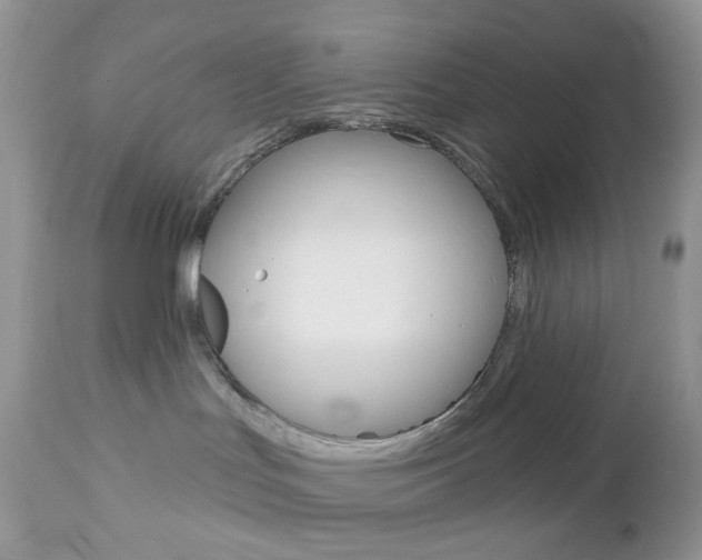 X0000113100047200908281003