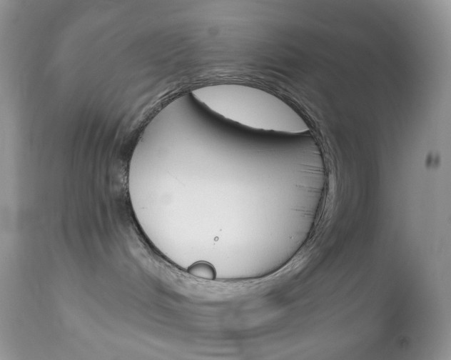 X0000113100048200908281003