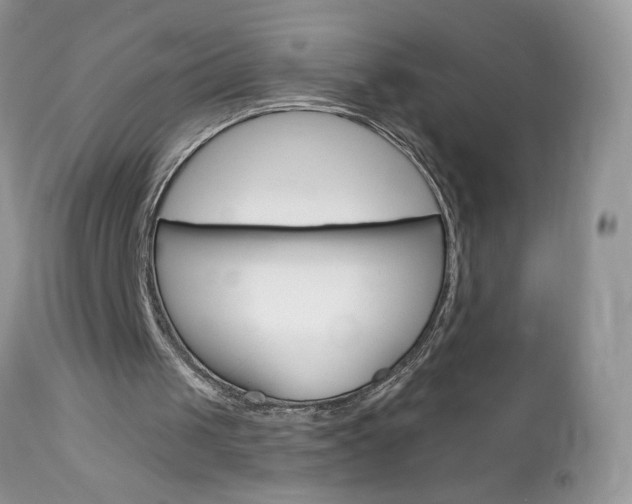 X0000113100049200908281002