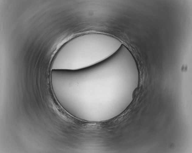 X0000113100050200908281002