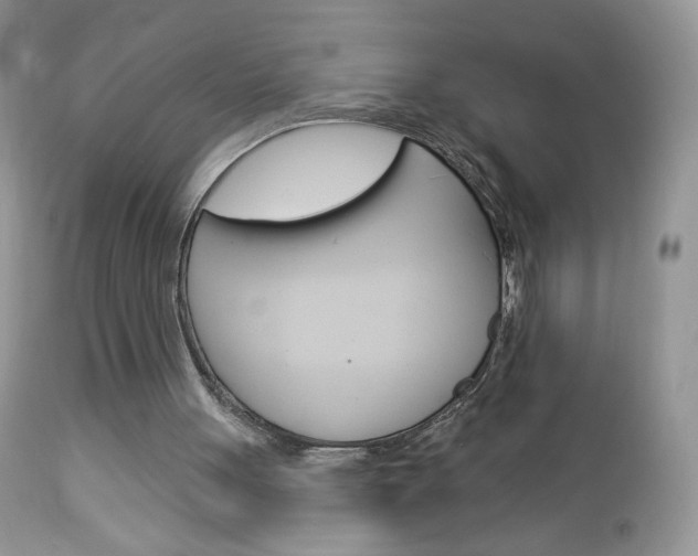 X0000113100051200908281002