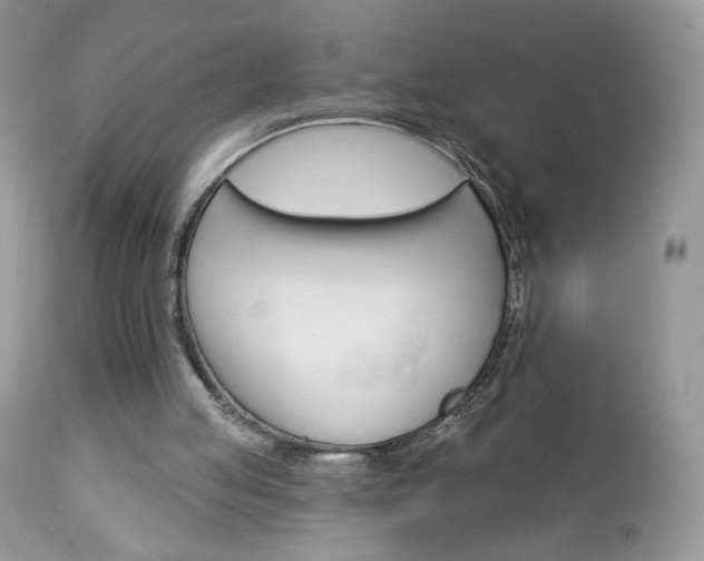 X0000113100053200908281002