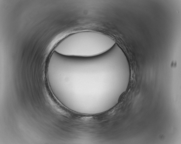 X0000113100054200908281002
