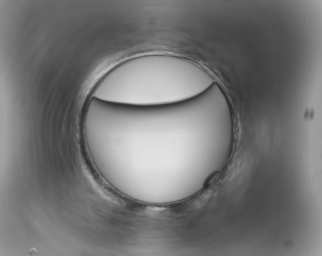 X0000113100055200908281002