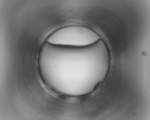 X0000113100058200908281002