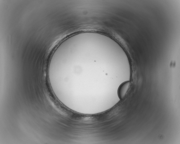 X0000113100059200908281002