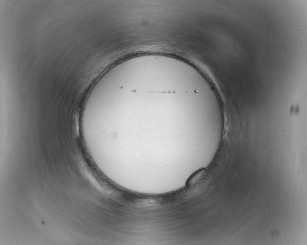 X0000113100061200908281002