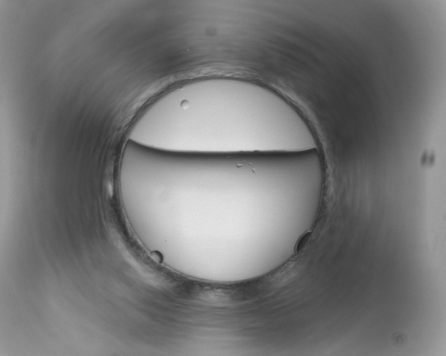 X0000113100062200908281002