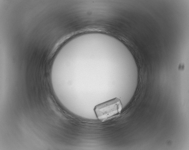X0000113100064200908281002
