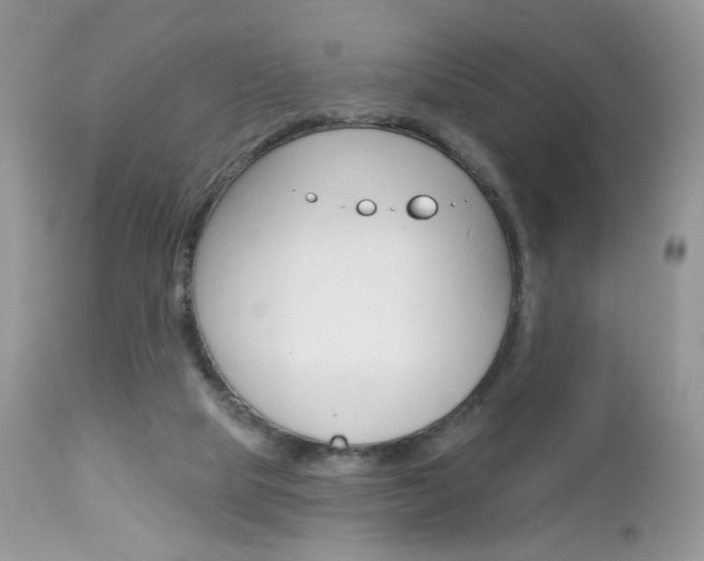 X0000113100065200908281002