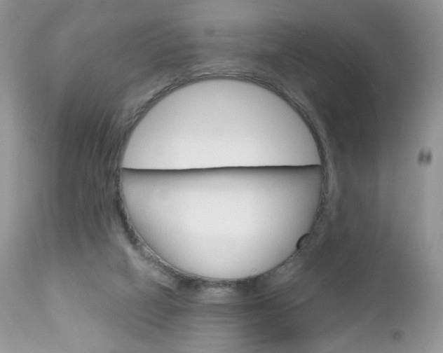 X0000113100066200908281002