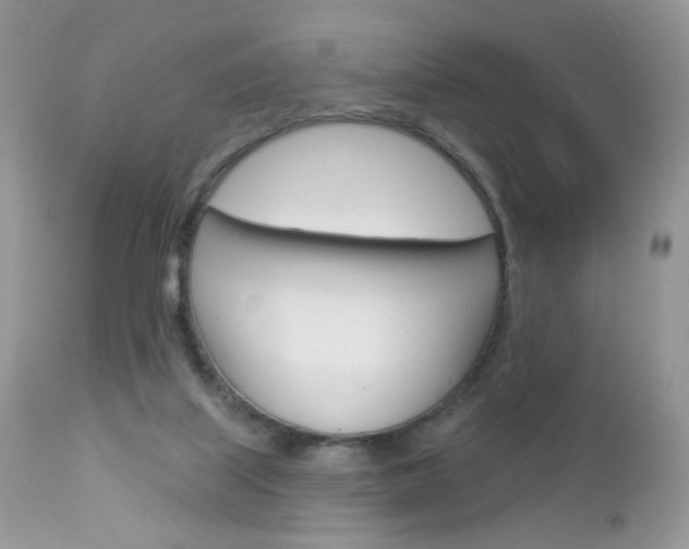 X0000113100067200908281002