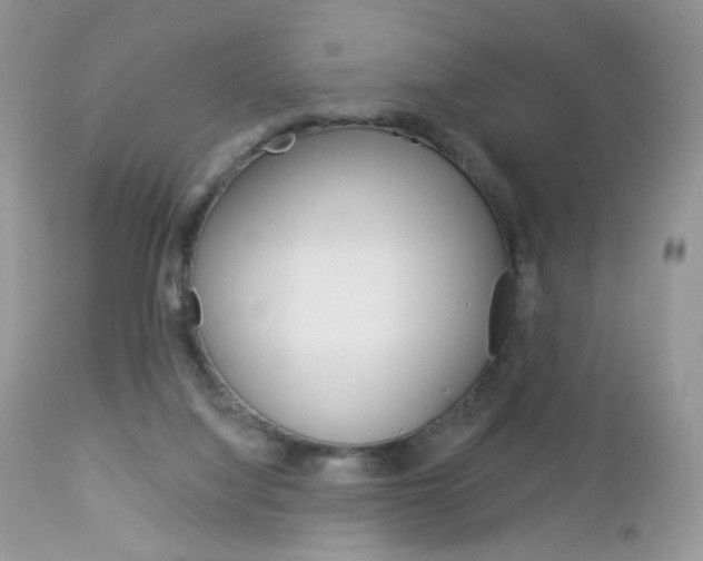 X0000113100068200908281002
