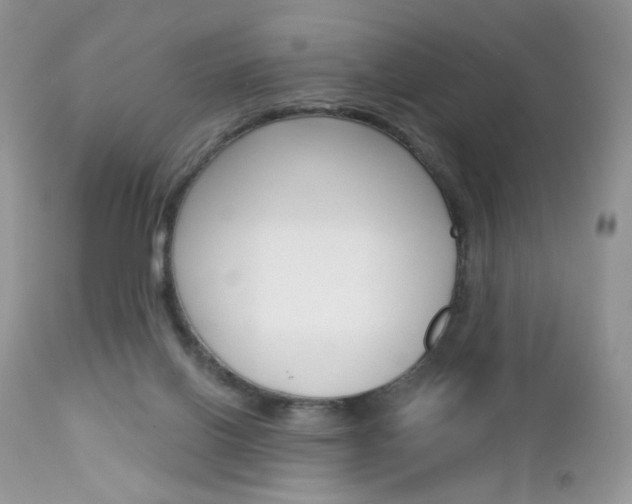 X0000113100070200908281002