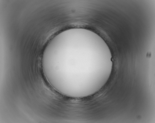 X0000113100071200908281002