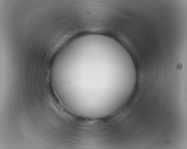 X0000113100072200908281002