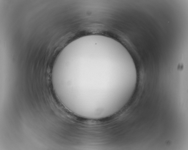 X0000113100073200908281002