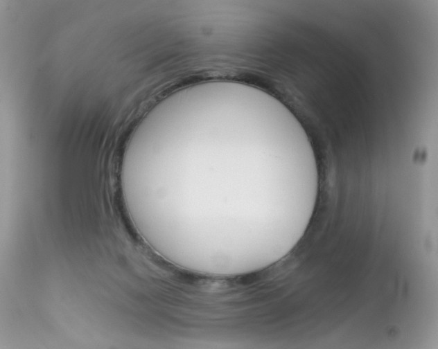 X0000113100074200908281002