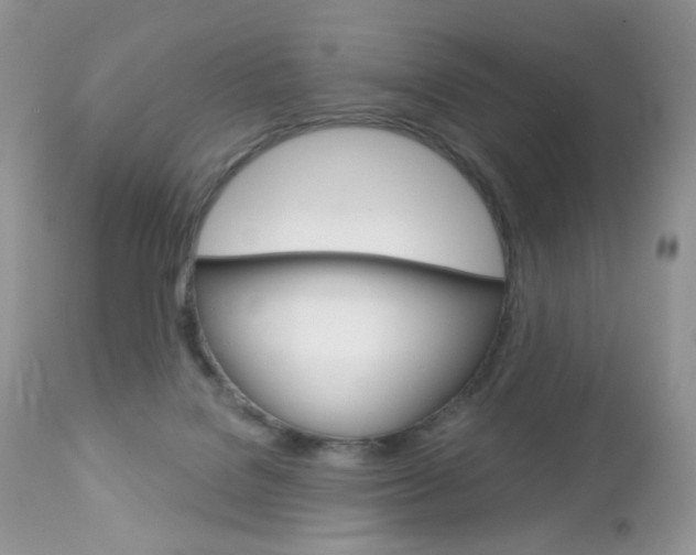 X0000113100076200908281003