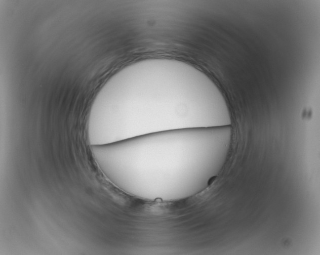 X0000113100078200908281003