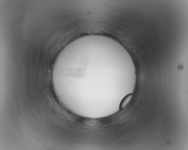 X0000113100079200908281003