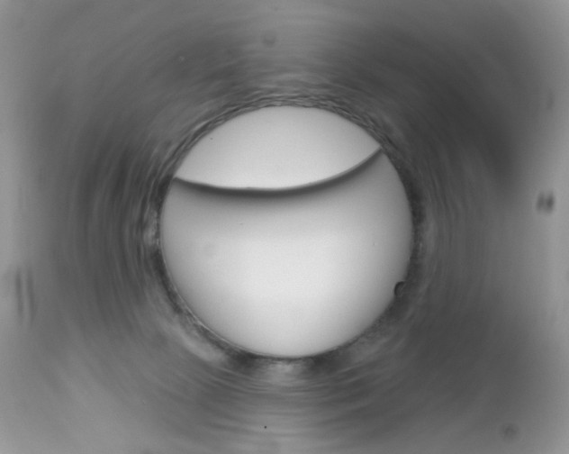 X0000113100081200908281003