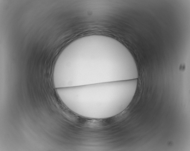 X0000113100082200908281003