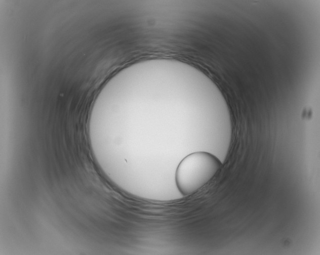 X0000113100084200908281003