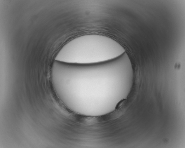 X0000113100085200908281003