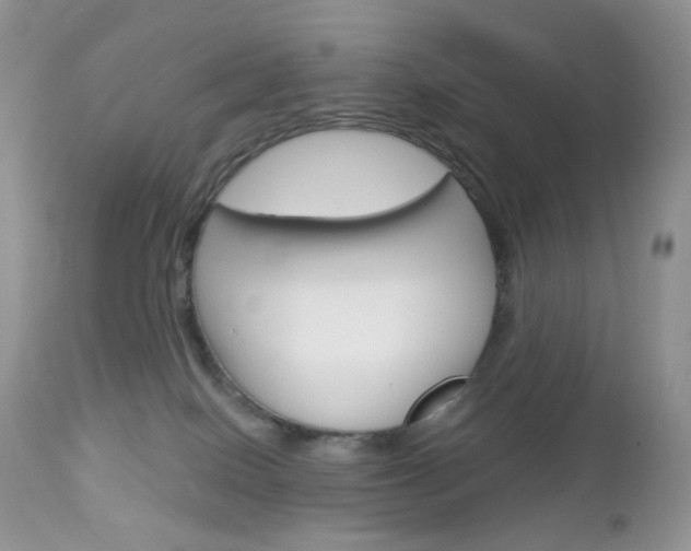 X0000113100086200908281003