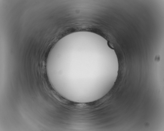 X0000113100087200908281003