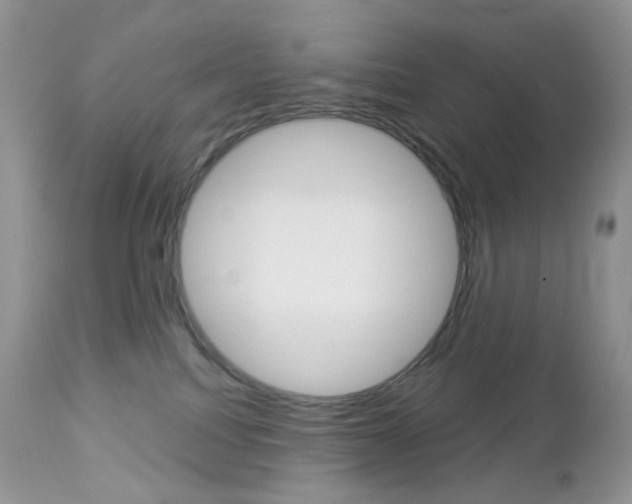X0000113100088200908281003