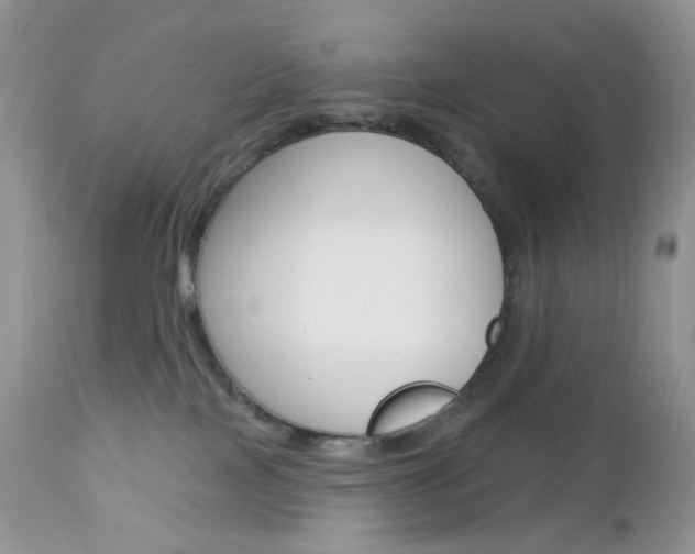 X0000113100089200908281003