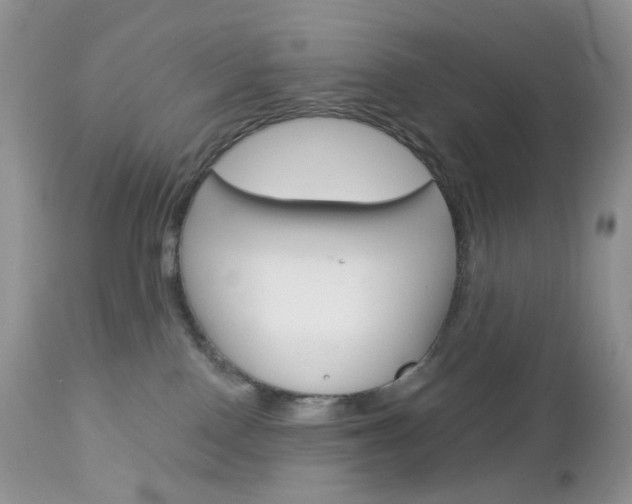X0000113100090200908281003