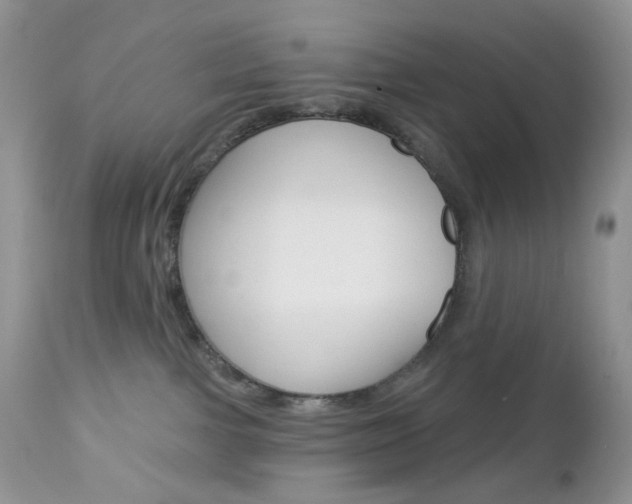 X0000113100091200908281003