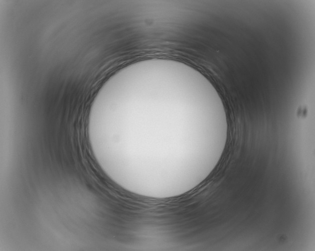 X0000113100092200908281003
