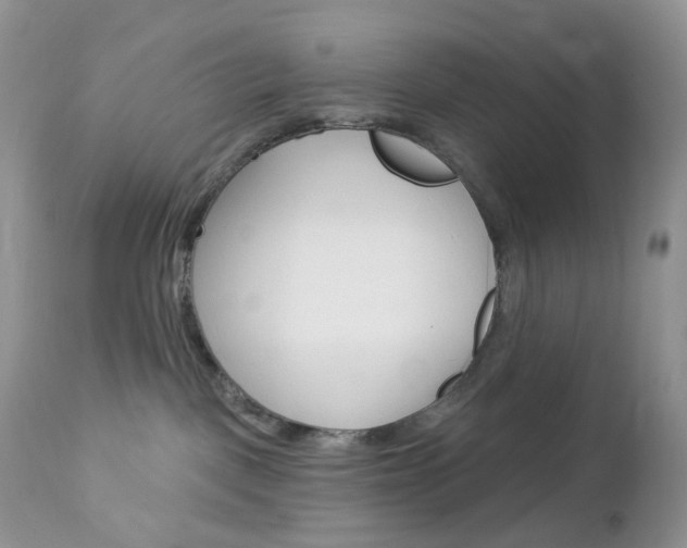 X0000113100093200908281003