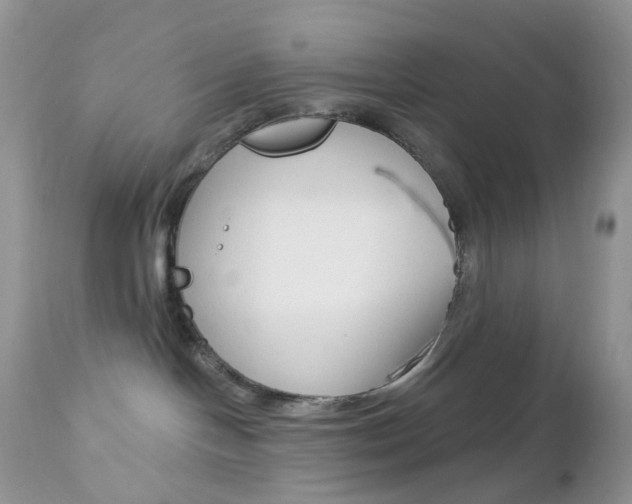X0000113100094200908281003