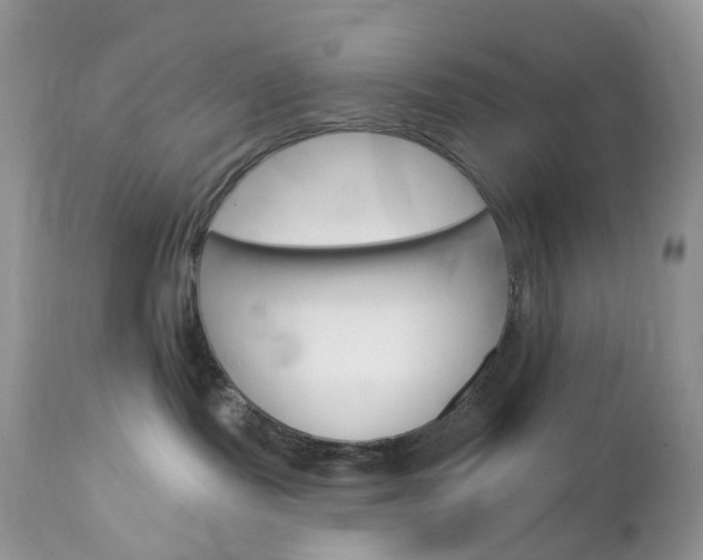 X0000113100095200908281003