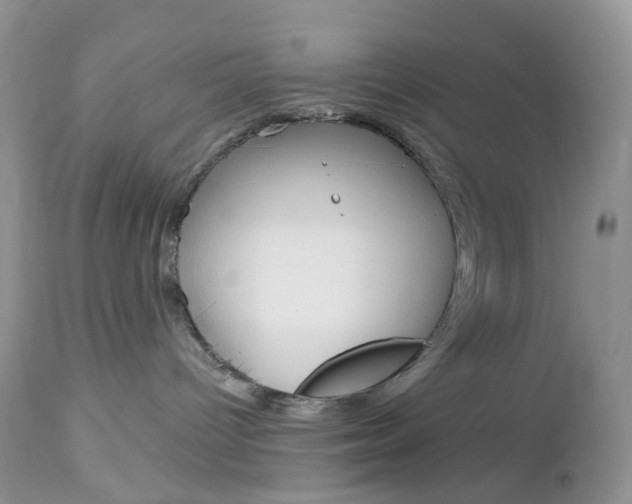 X0000113100096200908281003