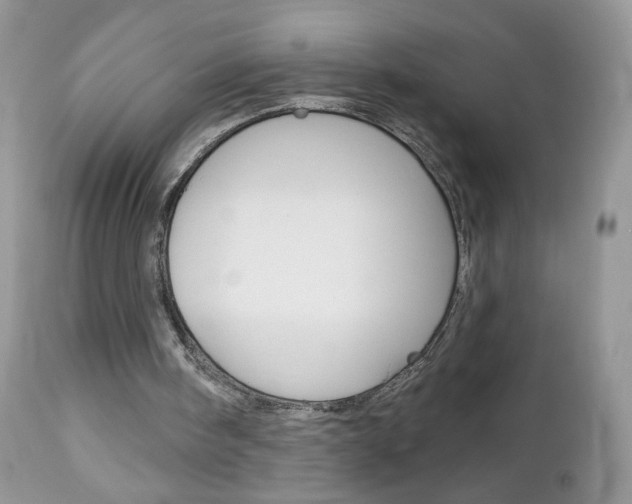 X0000113100098200908281002