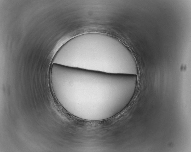 X0000113100099200908281002