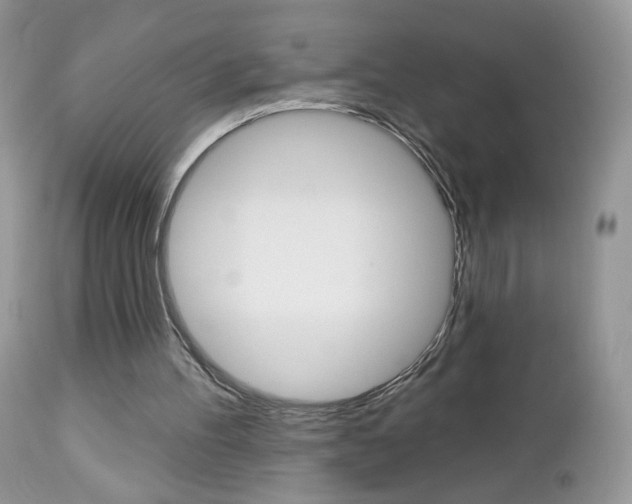 X0000113100100200908281002