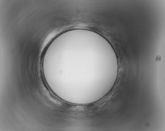 X0000113100102200908281002
